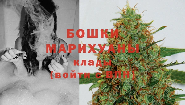 индика Аркадак