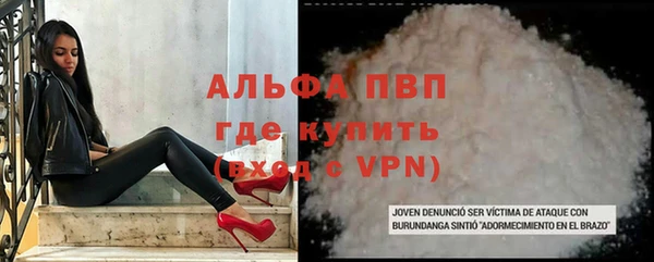 молекула духа Арсеньев