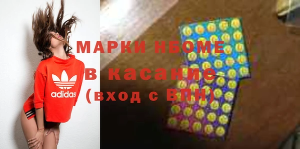 индика Аркадак
