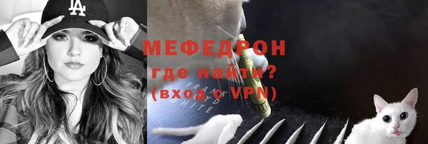 индика Аркадак