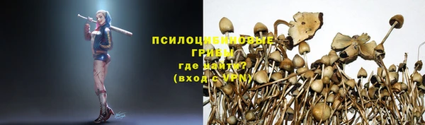 индика Аркадак