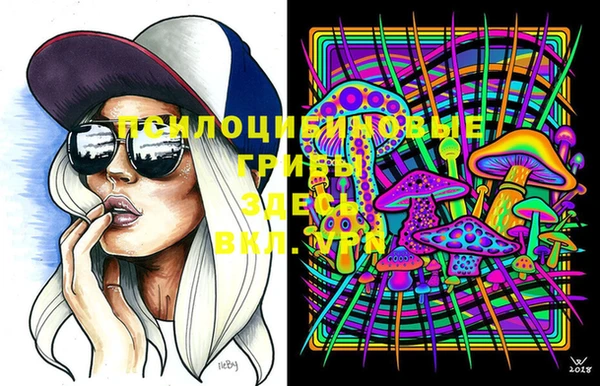 прущая мука Армянск