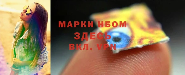 молекула духа Арсеньев