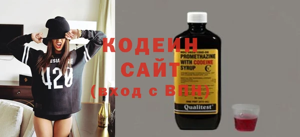 молекула духа Арсеньев