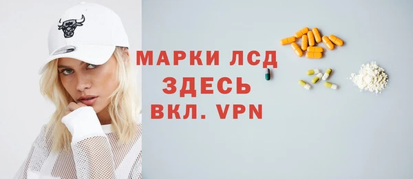 индика Аркадак