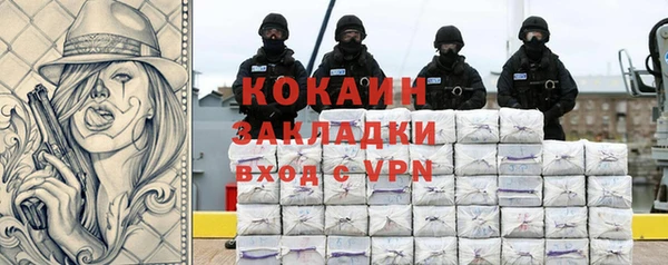 молекула духа Арсеньев