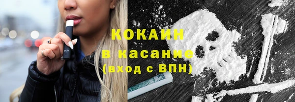 индика Аркадак