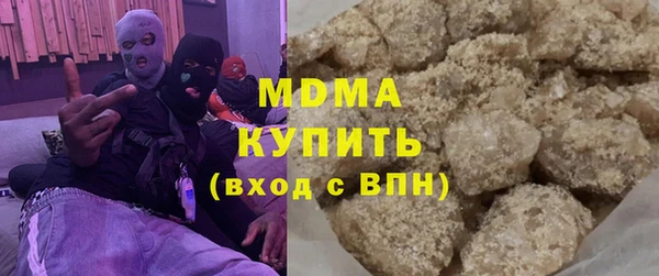 индика Аркадак