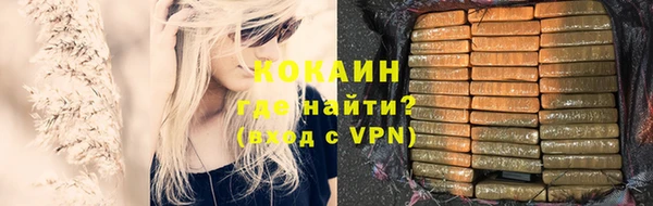 молекула духа Арсеньев